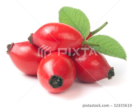 rose hip berry with leaf isolated on white rose hip berry with leaf isolated on white 32835619