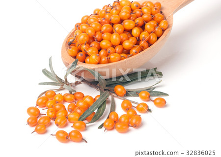 buckthorn berries with leaves in a wooden spoon buckthorn berries with leaves in a wooden spoon 32836025