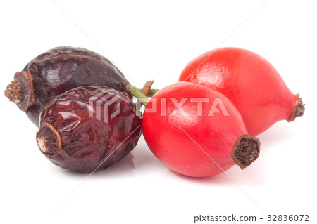 dried and fresh rose hip berry isolated on white dried and fresh rose hip berry isolated on white 32836072