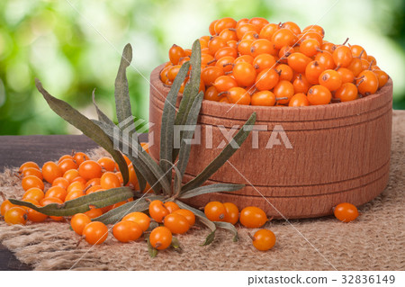 Sea-buckthorn berries in a wooden bowl on table 32836149