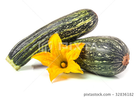 two zucchini with flower isolated on white 32836182
