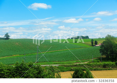 Car window scenery of JR Hokkaido Furano Line 32836358