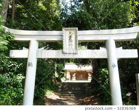 茨城寺的廢墟 茨城寺的廢墟 32836369