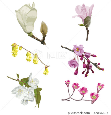 Flower 6 32836604