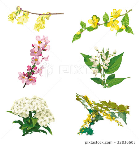 Flower 7 32836605