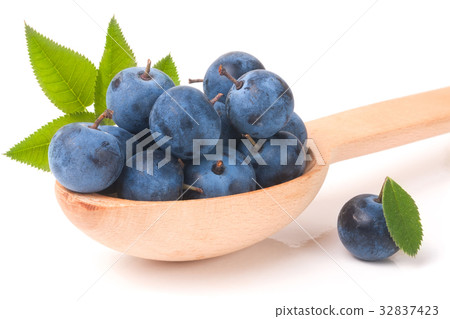 blackthorn berries in a wooden spoon with leaves 32837423