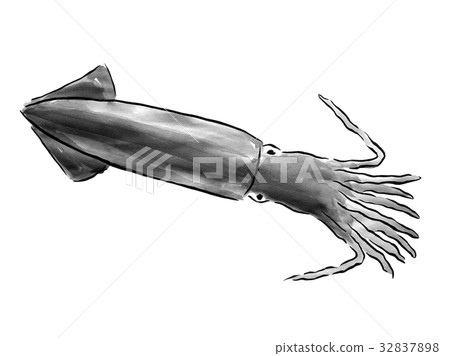 Squid <Seafood of ink painting> 32837898