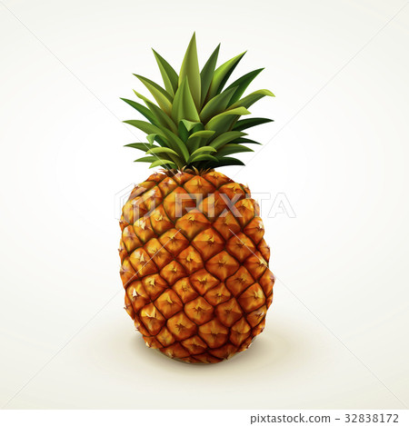 Realistic pineapple design Realistic pineapple design 32838172