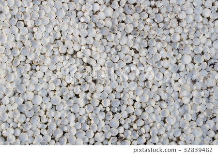 Old styrofoam plate 32839482