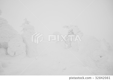 Snow Monsters area Mountain Zao, Japan . 32842081