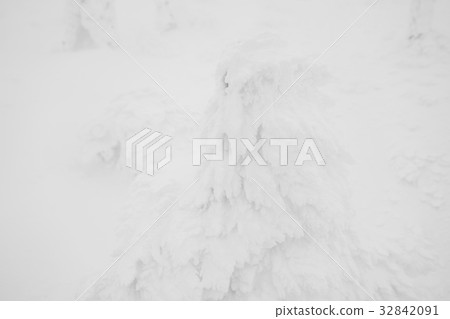 Snow Monsters area Mountain Zao, Japan . 32842091