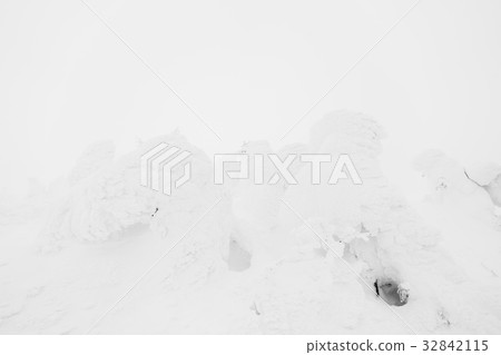 Snow Monsters area Mountain Zao, Japan . 32842115