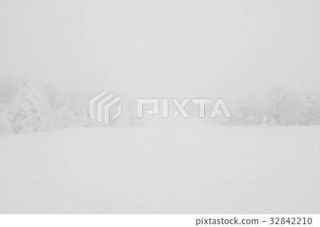 Tree covered with snow on winter storm day in forest mountains . 32842210