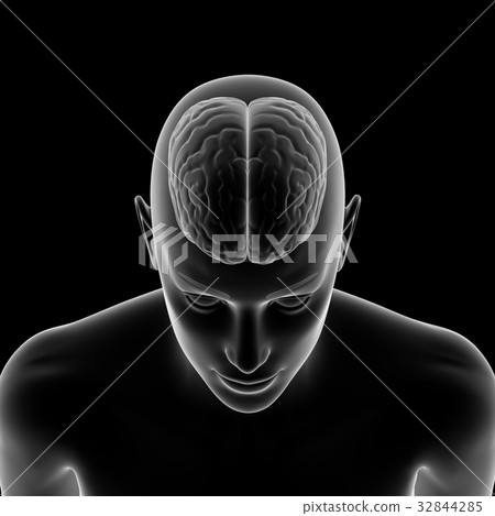 Brain, brain, woman 32844285