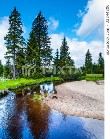 Small mountain creek in the middle of green 32844806