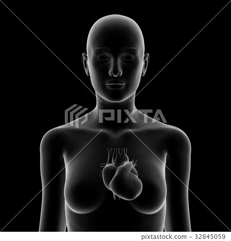 Female heart Female heart 32845059