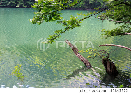 Chicken head no pond 32845572