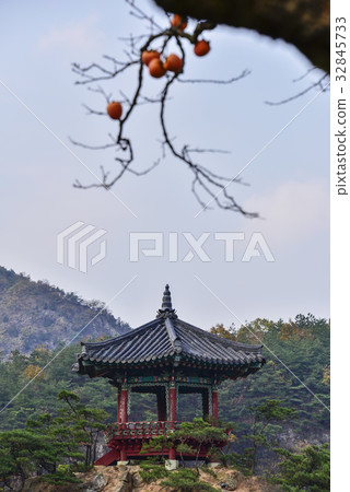 Wolyoungbong，Gwacheon，Gangcheoncheon，Yeongdong-gun，Chungbuk，Korea 32845733