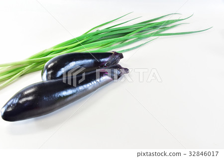 茄子和蔥 茄子和蔥 32846017