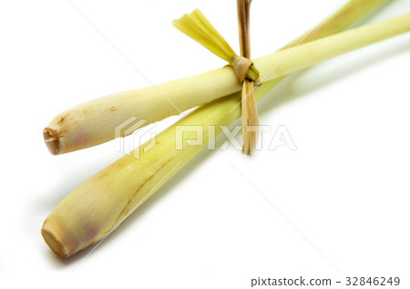 Fresh lemon grass on white background 32846249