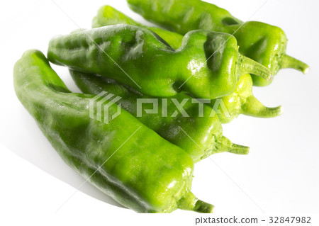 Nagao Daigu Oversized Shiritsu Nagao Daigu Oversized Shiritsu 32847982