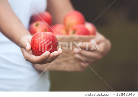 Woman farmer holding apple in the garden 32848349