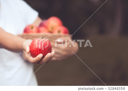 Woman farmer holding apple in the garden  32848350