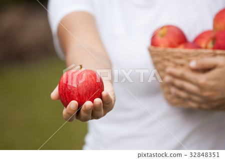 Woman farmer holding apple in the garden 32848351