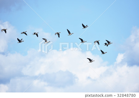 藍天和白色雲彩和magan 32848780