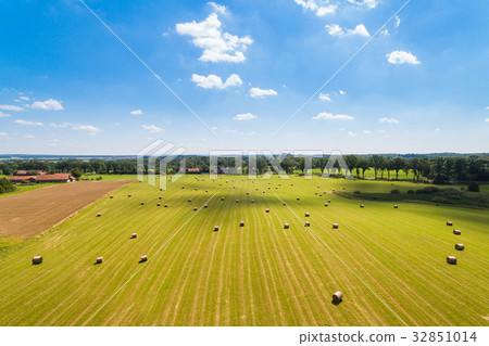 Field with haystacks Field with haystacks 32851014