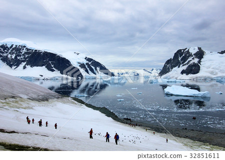 Group of hikers with gentoo penguins around Group of hikers with gentoo penguins around 32851611