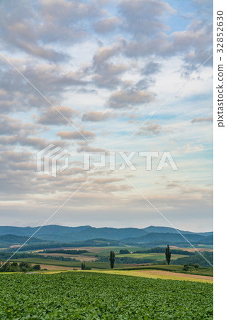 "Hokkaido" Biei and countryside landscape "Hokkaido" Biei and countryside landscape 32852630