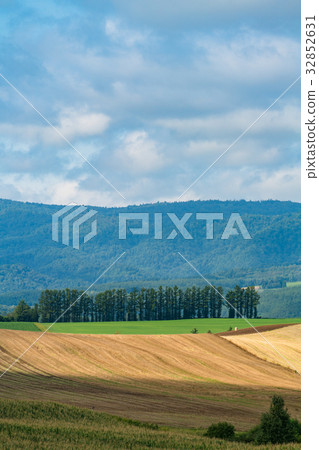 "Hokkaido" Biei and countryside landscape "Hokkaido" Biei and countryside landscape 32852631