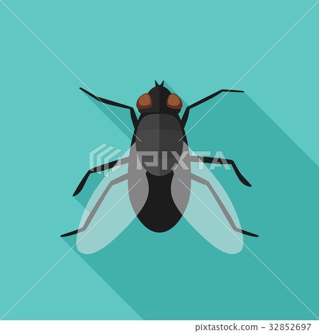 Fly flat icon with long shadow 32852697