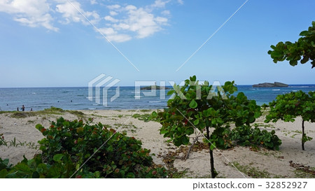 neptun monument 32852927