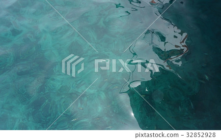 deep blue sea deep blue sea 32852928