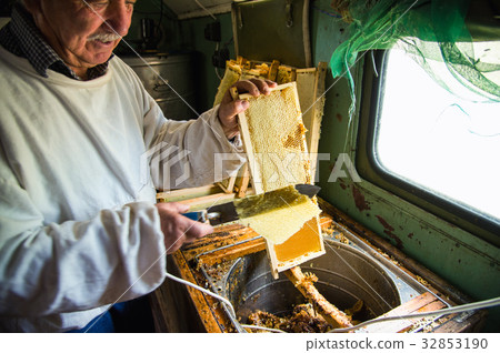 The beekeeper separates the wax from the honeycomb 32853190