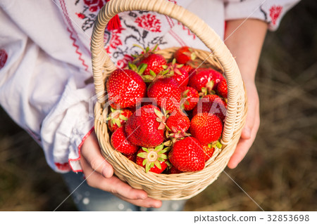 Closeup of woman's hands holding basket with Closeup of woman's hands holding basket with 32853698