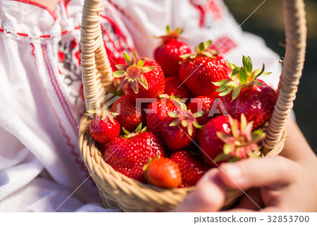 Closeup of woman's hands holding basket with Closeup of woman's hands holding basket with 32853700