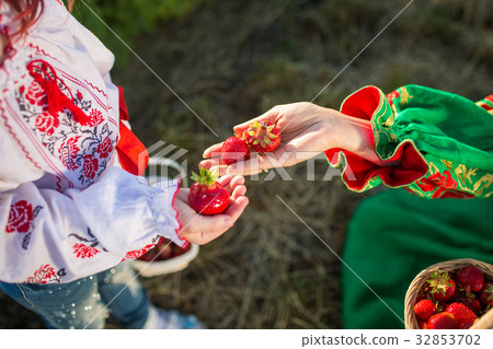 Closeup of woman's hands holding basket with Closeup of woman's hands holding basket with 32853702