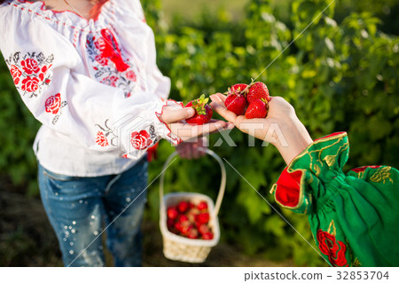 Closeup of woman's hands holding basket with Closeup of woman's hands holding basket with 32853704