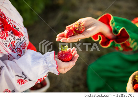 Closeup of woman's hands holding basket with Closeup of woman's hands holding basket with 32853705