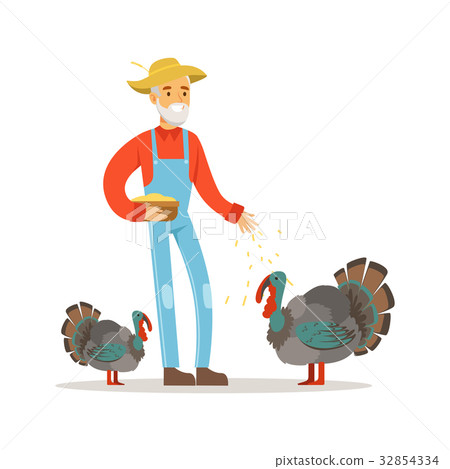 Old farmer man feeding turkeys, poultry breeding 32854334