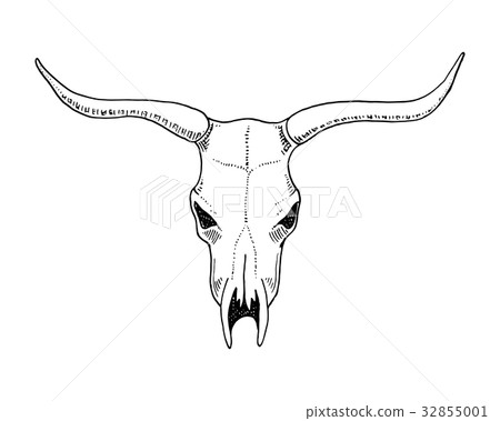 biology or anatomy illustration. engraved hand biology or anatomy illustration. engraved hand 32855001