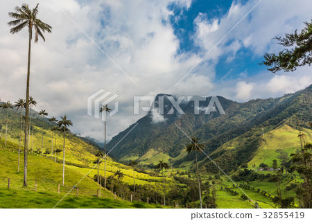 Valley Cocora Salento El Bosque de Las Palmas 32855419