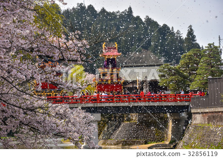 Spring Takayama Festival Cherry blossoms in full bloom and stalls across Nakahashi The petals of cherry blossoms dancing in the wind 32856119