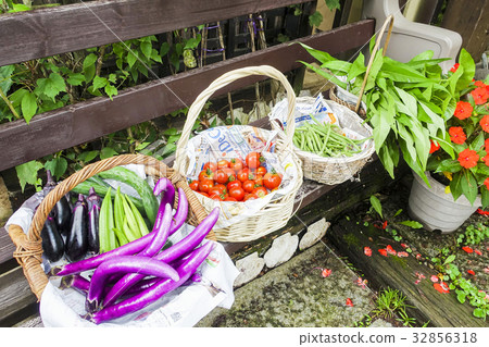 Harvest of home garden Harvest of home garden 32856318