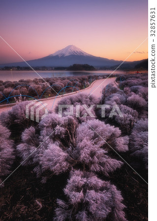 Fuji mountain at sunset from Kawaguchiko lake Fuji mountain at sunset from Kawaguchiko lake 32857631