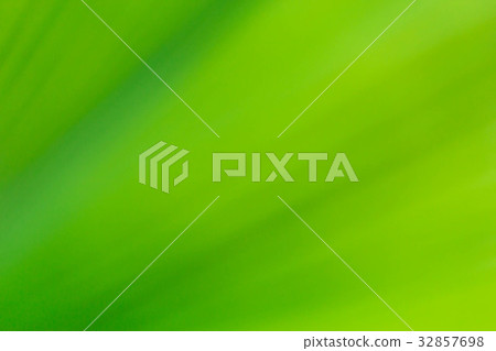 Light background green wallpaper 32857698