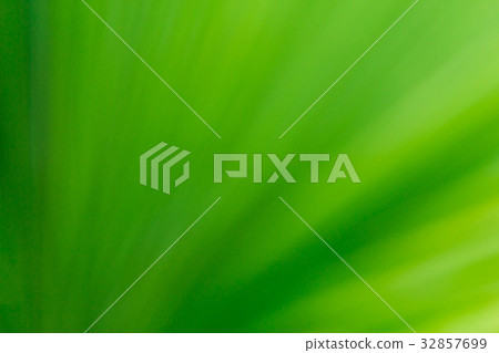Green blurred background Green blurred background 32857699